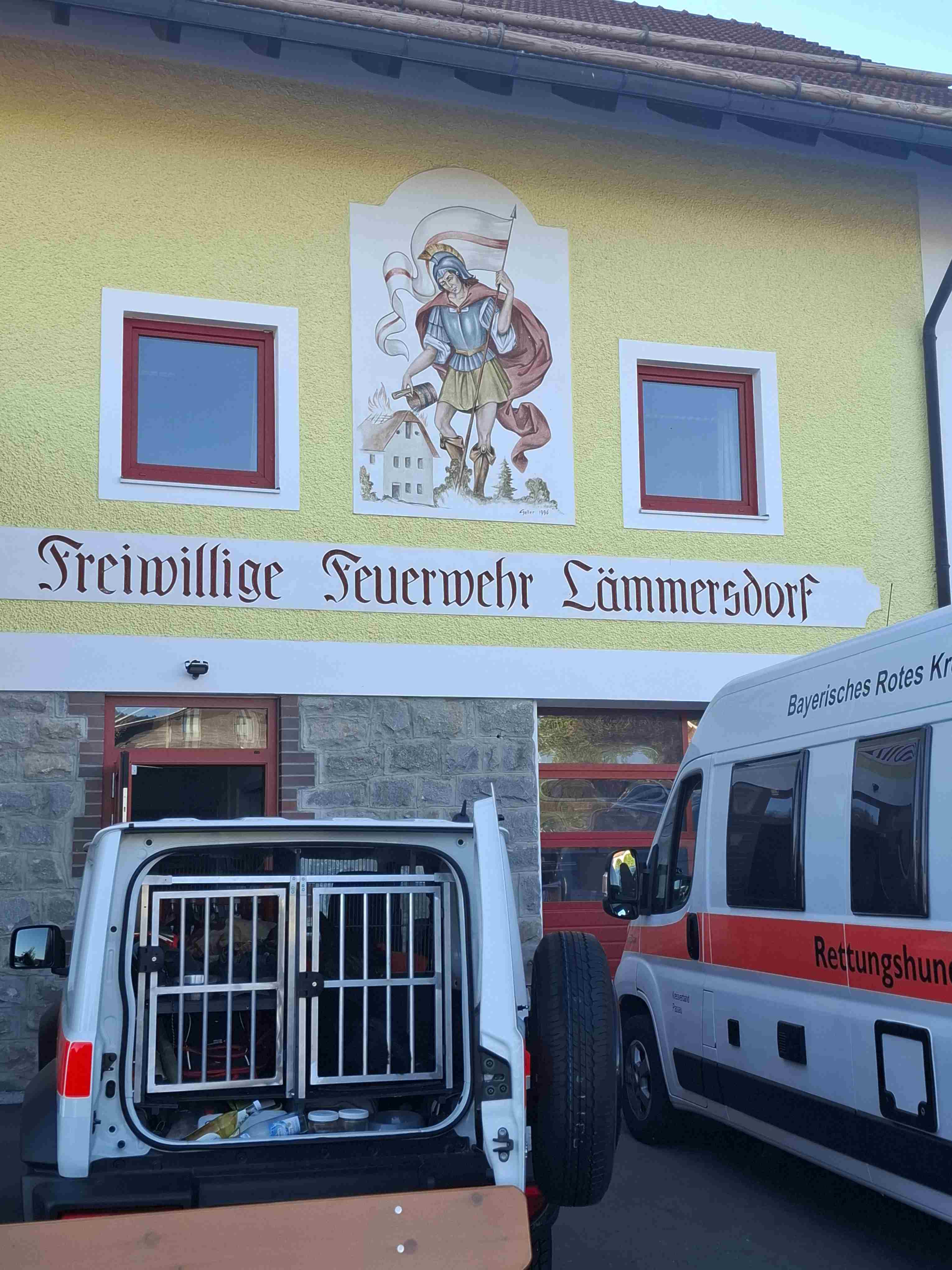 zu den Bildern