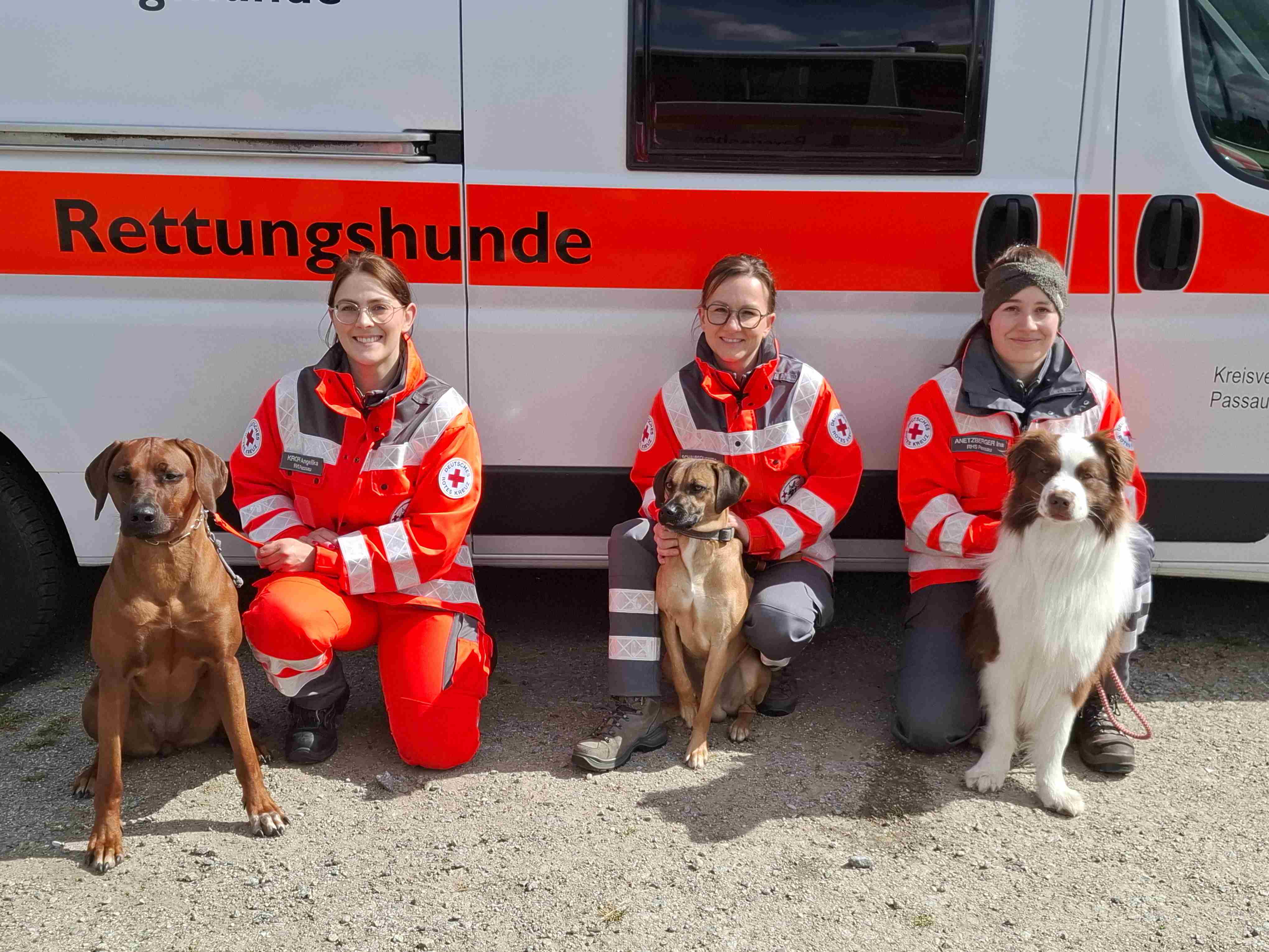 zu den Bildern